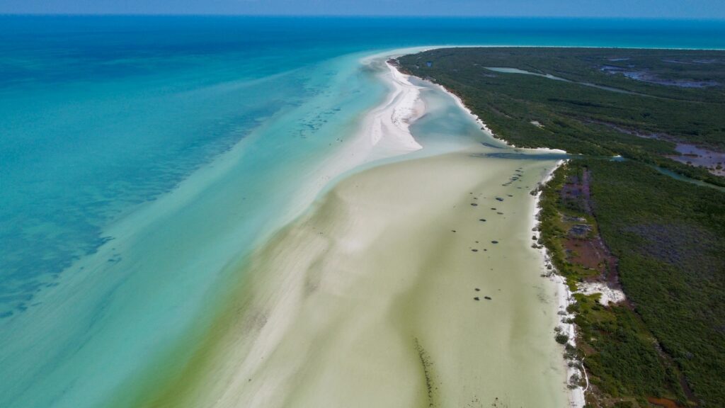 an aerial view of a beach and the ocean