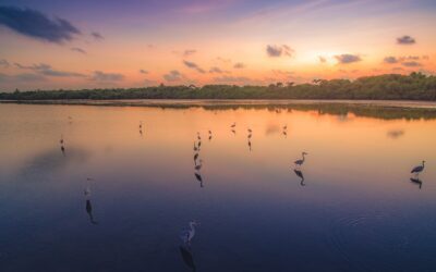 Punta Mosquito: ¡Sumérgete en el paraíso!