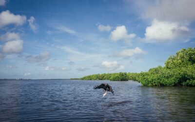 How Many Days Are Ideal to Fully Enjoy Holbox?