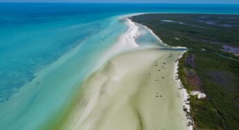 La guía completa de atracciones en Isla Holbox
