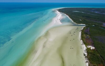 La guía completa de atracciones en Isla Holbox