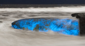 Magia en Tour de Bioluminiscencia en Isla Holbox