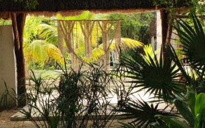 Sustainable Accommodations in Holbox Island: Eco-Friendly and Green Stays