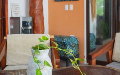 Hoteles con Spa en Isla Holbox: Relajación y Bienestar en el Caribe